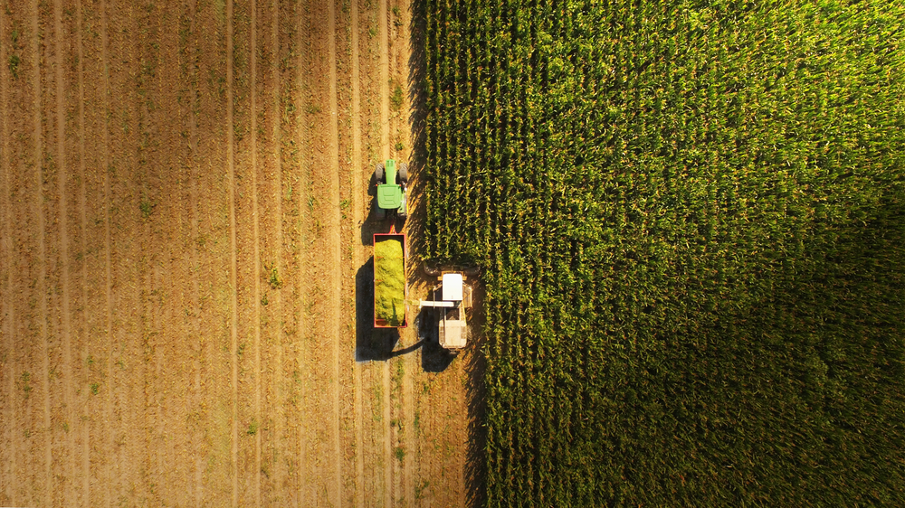 Aerial view of a paddock with a tractor mowing through the area. Half is yellow and the other green.