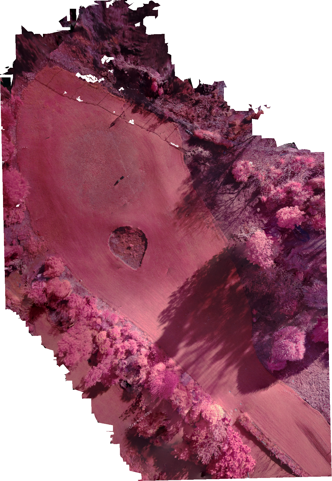 A golf fairway area at Urrbrae and show a site of images using different cameras and infrared processing.  