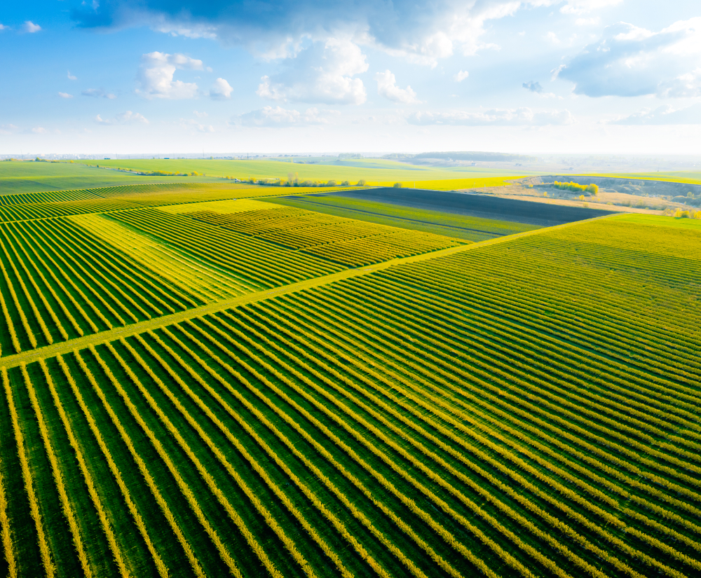 Aerial view of a farmed field