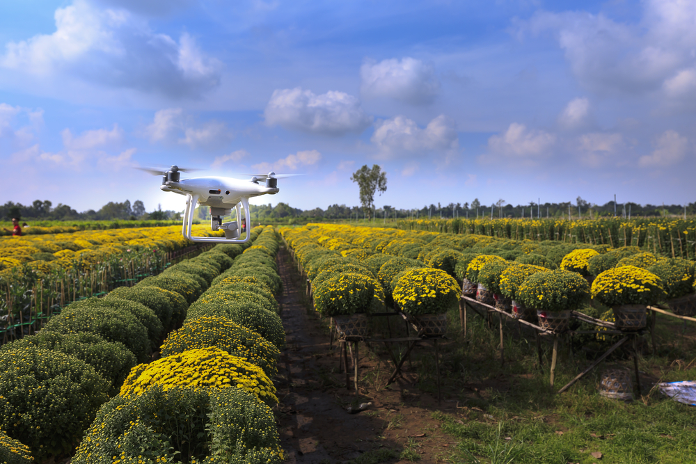 Drone flying over an orchid